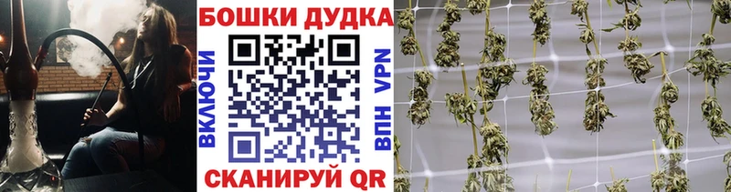 Магазин наркотиков Воронеж Кокаин omg сайт Гашиш Амфетамин Канабис Мефедрон