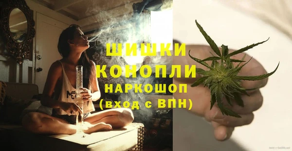 прущие грибы Заволжье