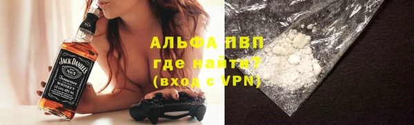 прущие грибы Заволжье