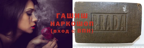 прущие грибы Заволжье