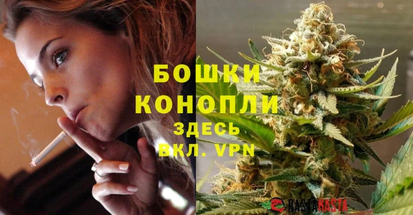 прущие грибы Заволжье