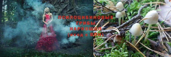 экстази Заводоуковск