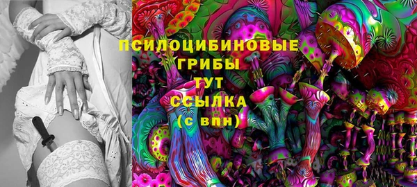 экстази Заводоуковск