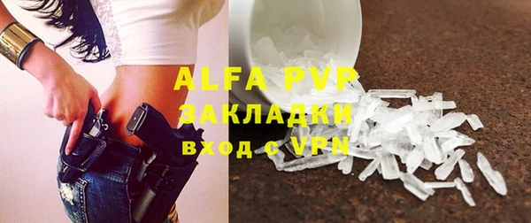 прущие грибы Заволжье