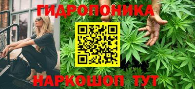 стаф Гай