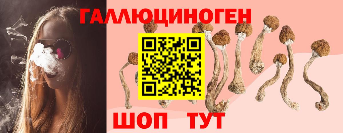 Галлюциногенные грибы GOLDEN TEACHER Россия
