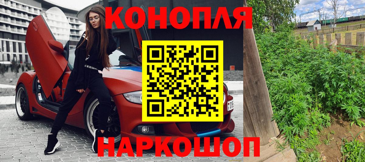 Каннабис ГИДРОПОН Россия